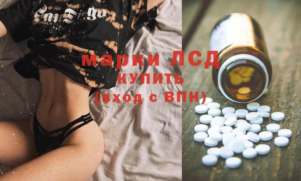 стаф Майский