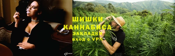 индика Дмитровск