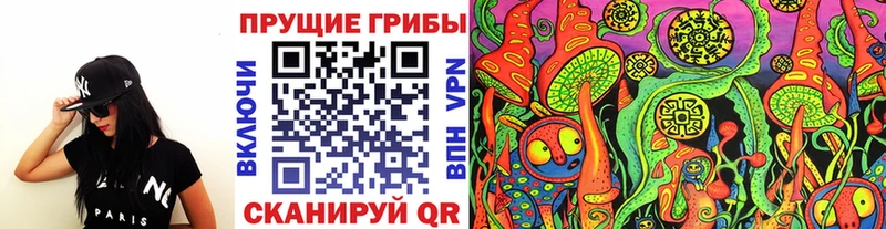 Псилоцибиновые грибы MAGIC MUSHROOMS  Великий Новгород 