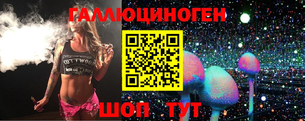 Псилоцибиновые грибы Cubensis Великий Новгород