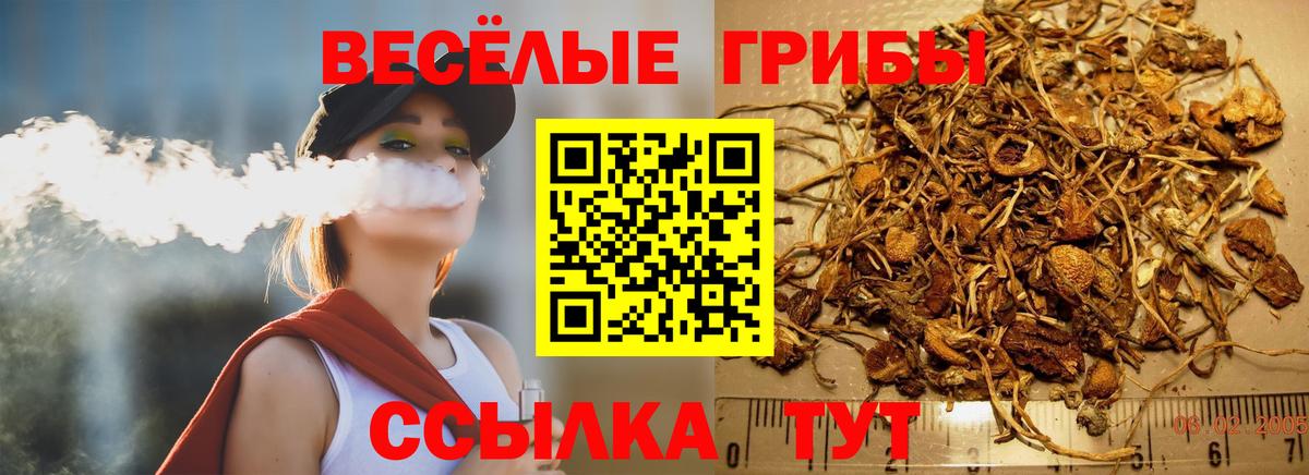 Великий Новгород  Псилоцибиновые грибы Psilocybe  Вход с VPN  Галлюциногенные грибы GOLDEN TEACHER 