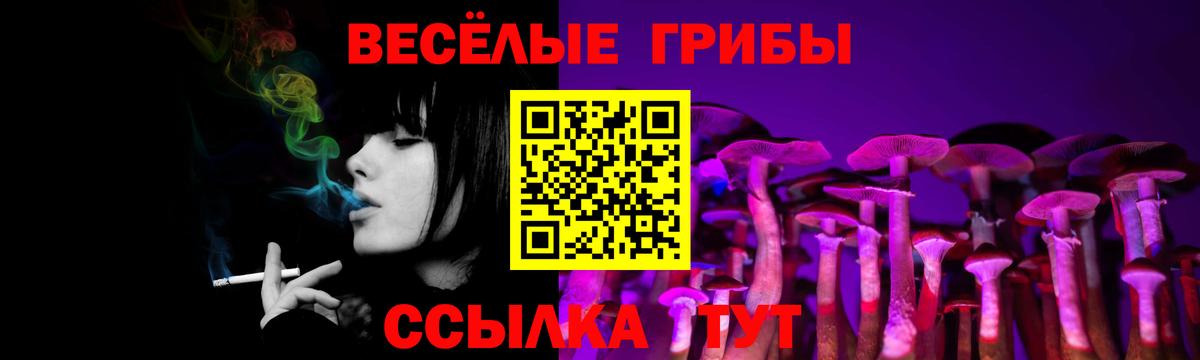 Галлюциногенные грибы ЛСД Великий Новгород