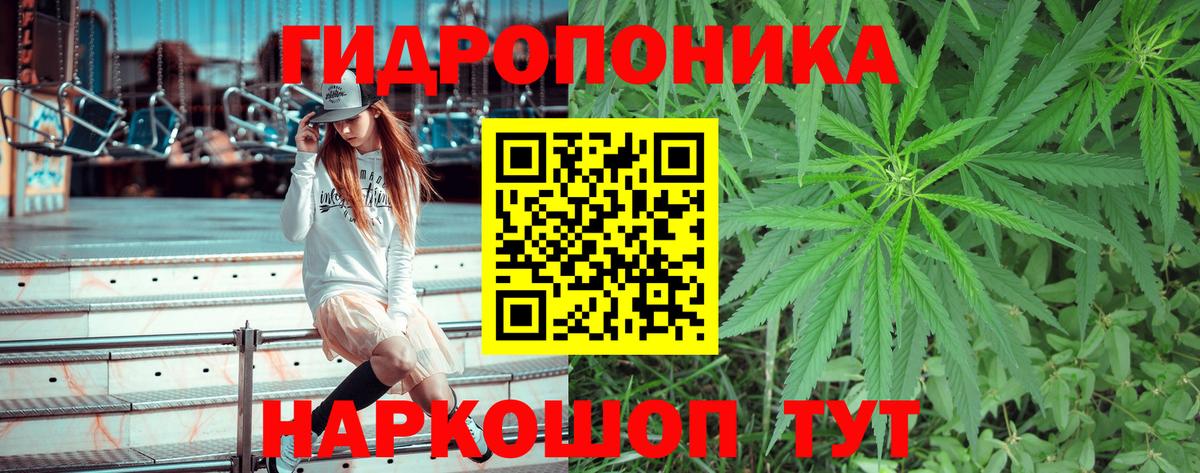 ГАШИШ Великий Новгород